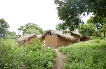 Dirt road leading to huts within green foliage