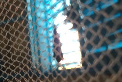 Photograph of a window with light shining viewed from behind a bed net