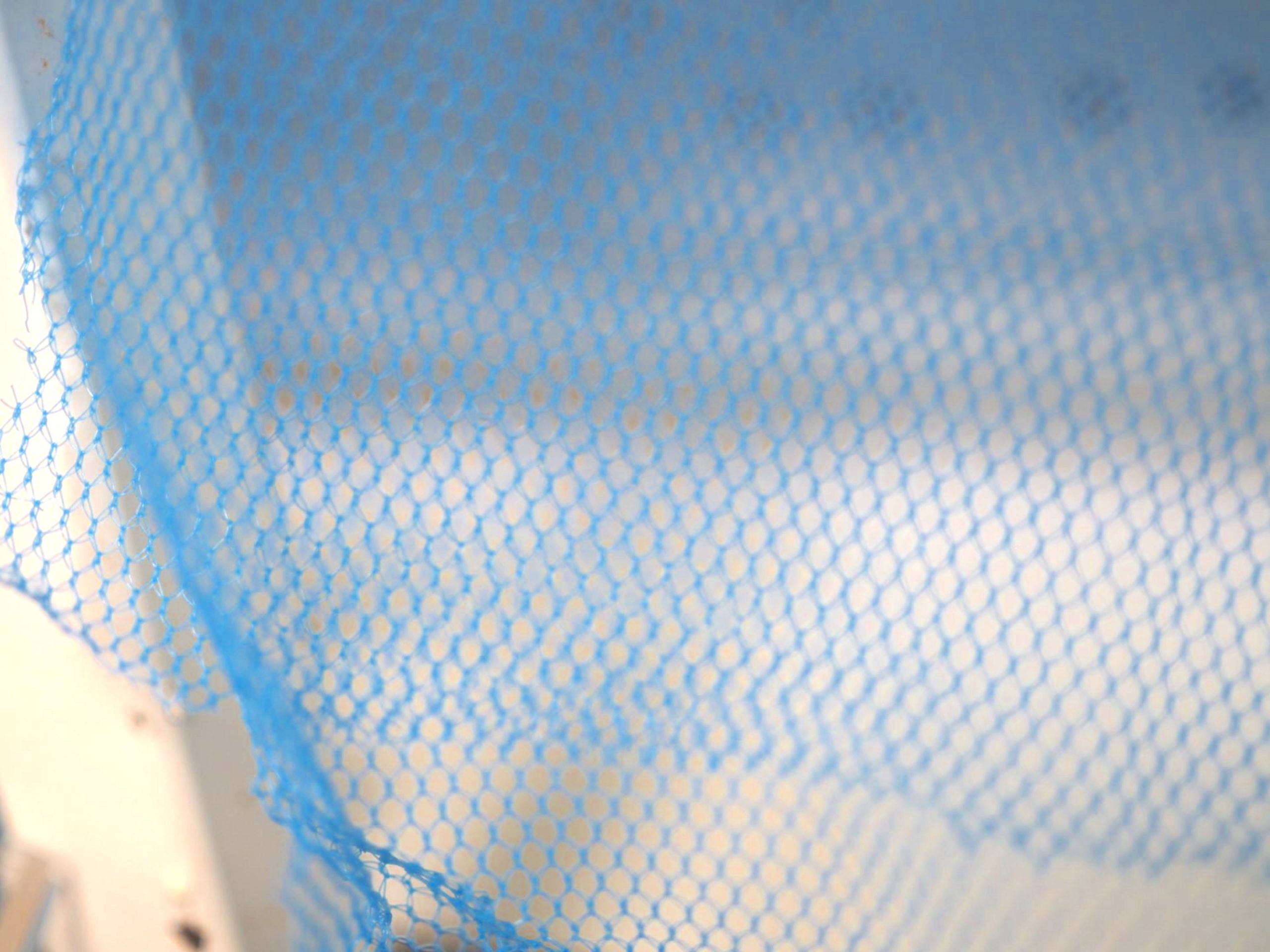 Blue bed net material with beige wall behind