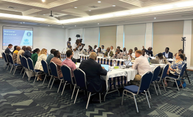 Conference room with blue carpet and 27 people sitting at three tables positioned in a horseshoe around a presentation on a projector screen that displaying a blue and white image that says 'Welcome' and 'Bienvenue' and has the I2I and WHO logos