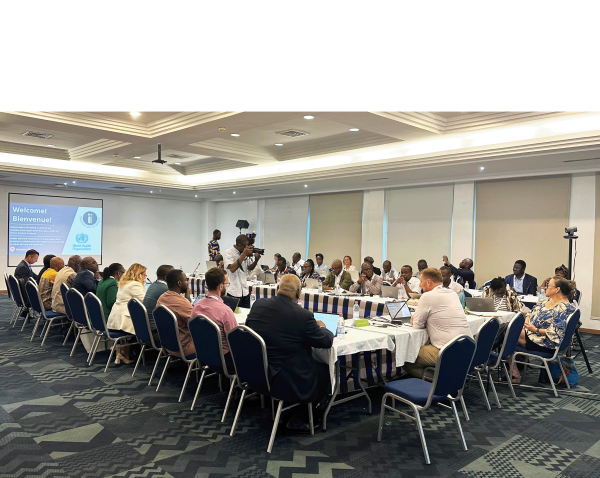 Conference room with blue carpet and 27 people sitting at three tables positioned in a horseshoe around a presentation on a projector screen that displaying a blue and white image that says 'Welcome' and 'Bienvenue' and has the I2I and WHO logos